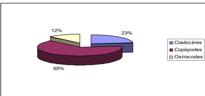 Fig. 16. Composition spécifique de la biocénose crustacéenne 