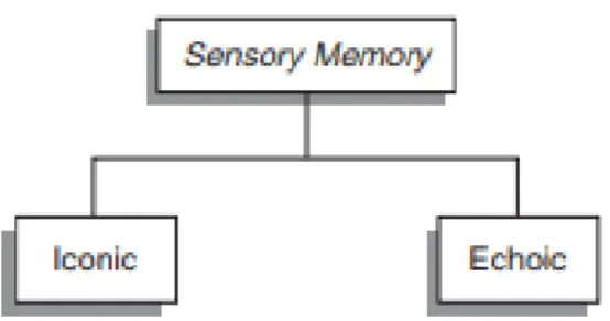 Figure  1.5.  Partial  Report  Task  Used  to  Study  the  Capacity  and  Duration  of  Iconic  Memory 