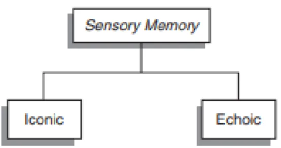 Figure  1.5.  Partial  Report  Task  Used  to  Study  the  Capacity  and  Duration  of  Iconic  Memory 