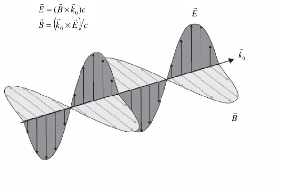 Figure I.1 : L’amplitude et la phase d'une onde électromagnétique polarisée linéairement