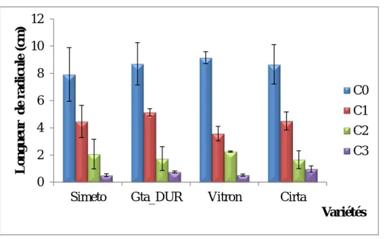 Figure 11: Longueur  de la  radicule (cm)  des variétés  du  blé dur soumises  aux différente concentrations du NaCl (mM)