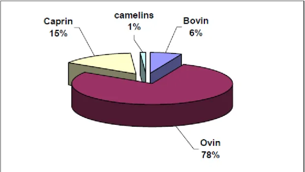 Figure 02 : Structure du cheptel national (MADR, 2009). 