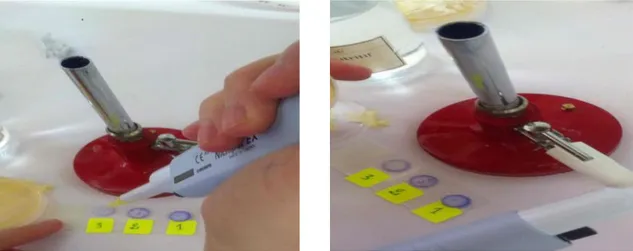 Figure 4 : Test d’oxydase