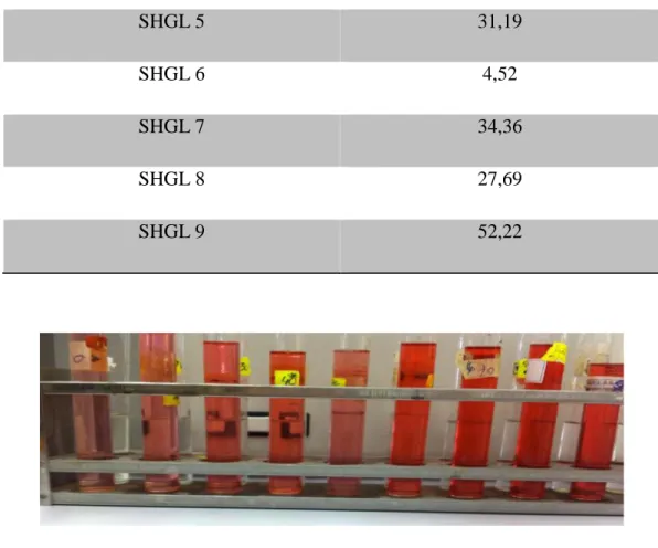 Figure 11 : Mise en évidence de la production de l’IAA