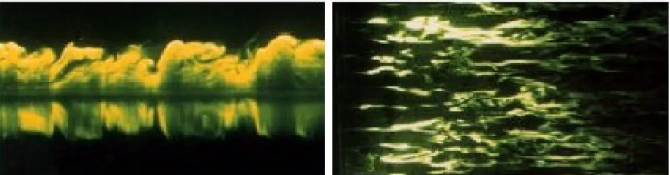 Figure I.4 Visualisation de la région externe d’une couche limite turbulente.