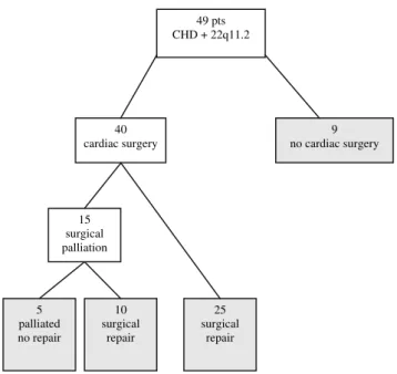 Fig. 1 Clinical management of congenital heart defect (CHD)