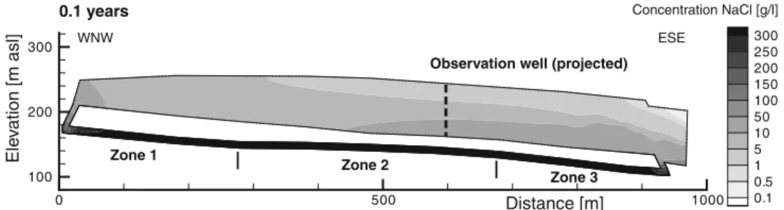 Fig. 11 Simulated NaCl concentration distribution from density-coupled model after 0.1 years (Scenario S_nopump5; see Table 1)
