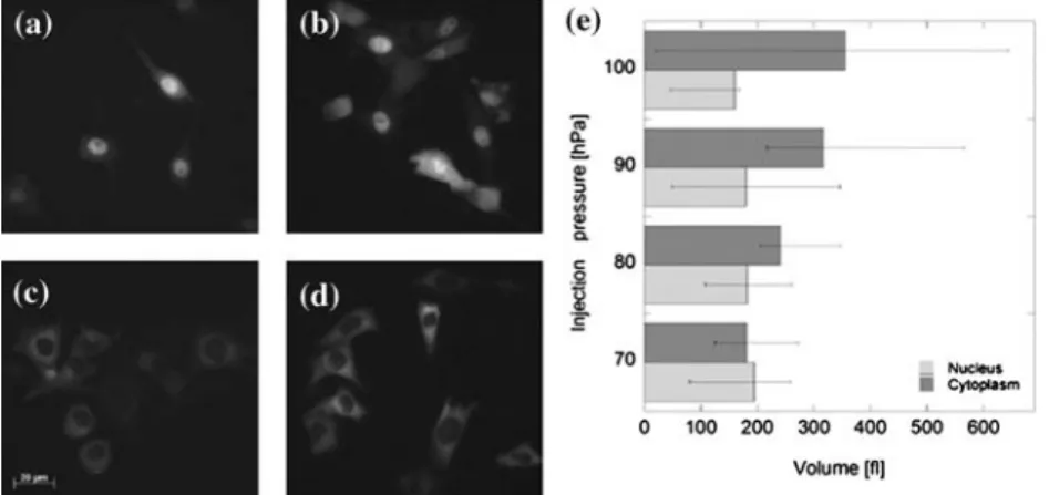 Fig. 1. Analysis of injection volume. CHO DG44 cells were injected in the nucleus (a and b) or the cytoplasm (c and d) with FITC-dextran