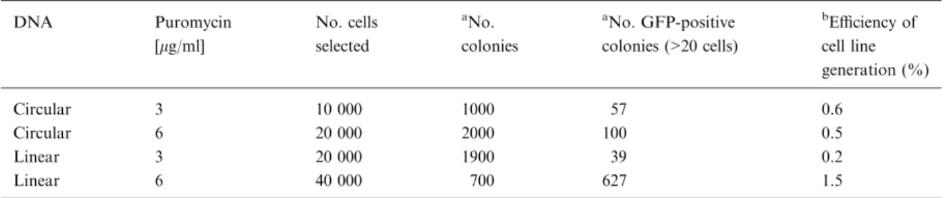 Table 2. Analysis of recombinant cell lines derived by calcium phosphate transfection.