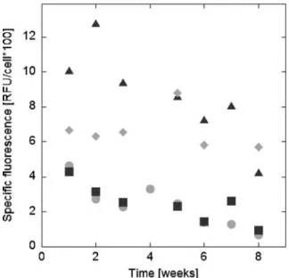 Fig. 6. Cell speciﬁc GFP ﬂuorescence of recombinant cell lines after CaPi transfection
