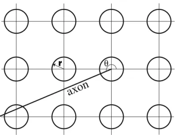 Fig. 1 A 3 × 4 neurons rectangle. Each neuron is a circle with a radius r ∈ IR + (dendrites), in this figure r < 1