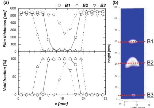 Fig. 17 Typical individual bubble film behavior for bubbles with different size at J L = 0.174 m/s; a film thickness and void fraction profiles along the channel width, b reconstructed bubble width distribution