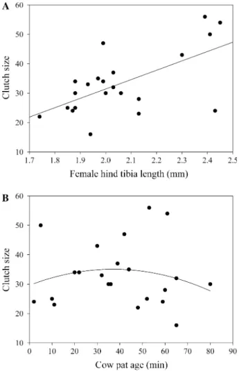 Fig. 1 Clutch size as a function of a female size (hind tibia length) and b dung pat age