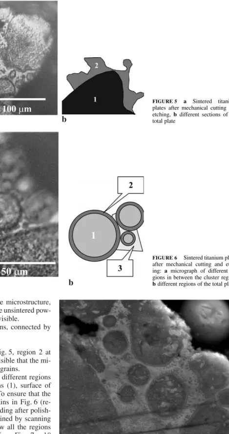 FIGURE 5 a Sintered titanium plates after mechanical cutting and etching, b different sections of the total plate