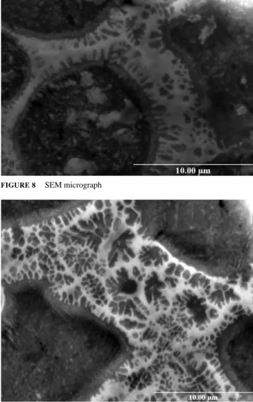 FIGURE 9 SEM micrograph of the eutectic or eutectoid microstructure of the binding matirial