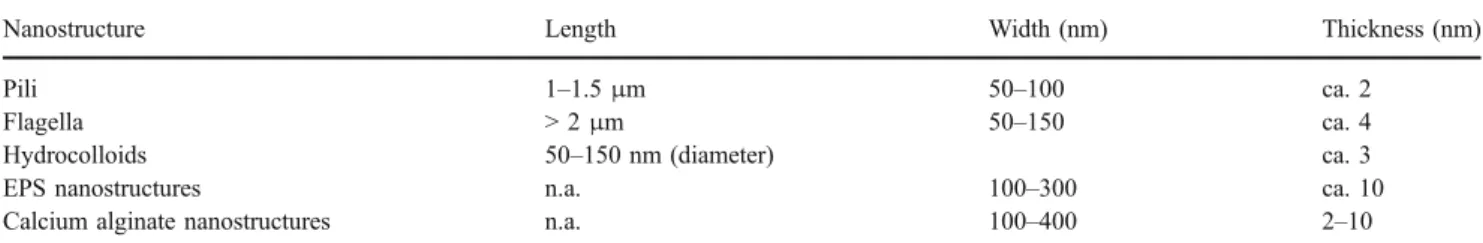 Figure 3a is a tapping mode phase image of a bacteria sample, which clearly shows flagella (indicated by arrow 1) and pili (arrow 2) on one pole of a bacterium
