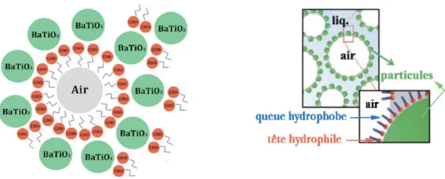 Figure II. 2: Adsorption des particules de BaTiO 3  partiellement hydrophobes à l ’ interface air- air-liquide 