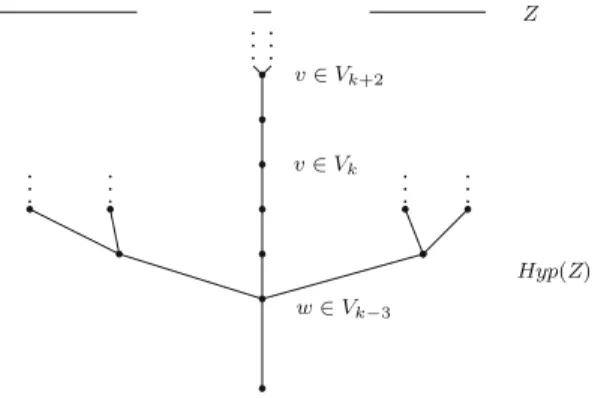 Fig. 2 Singular geodesic w . . . v k + 2 associated to v k = v ∈ V k