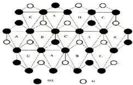 Figure I.7: Projection d’une couche octaédrique idéale d'un minérale de type 1/1  montrant la position des atomes d'oxygène et des groupements hydroxyles des différents  