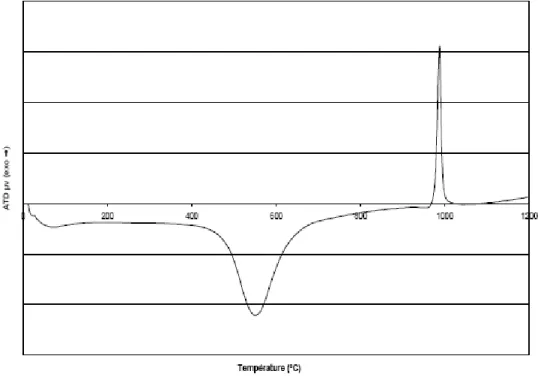 Figure I.15: Analyse thermique différentielle d’un kaolin 