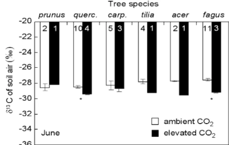 Fig. 5 The δ 13 C values of soil air near different tree species.