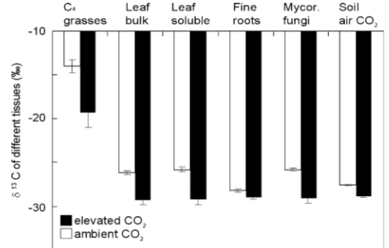 Fig. 7 Comparison of the difference in δ 13 C values between different tissues and soil air from the CO 2 enriched area and the untreated area