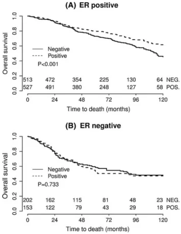 Fig. 5 Kaplan–Meier survival curve for OS depending on PTP1B expression in the HER2 ? subgroup
