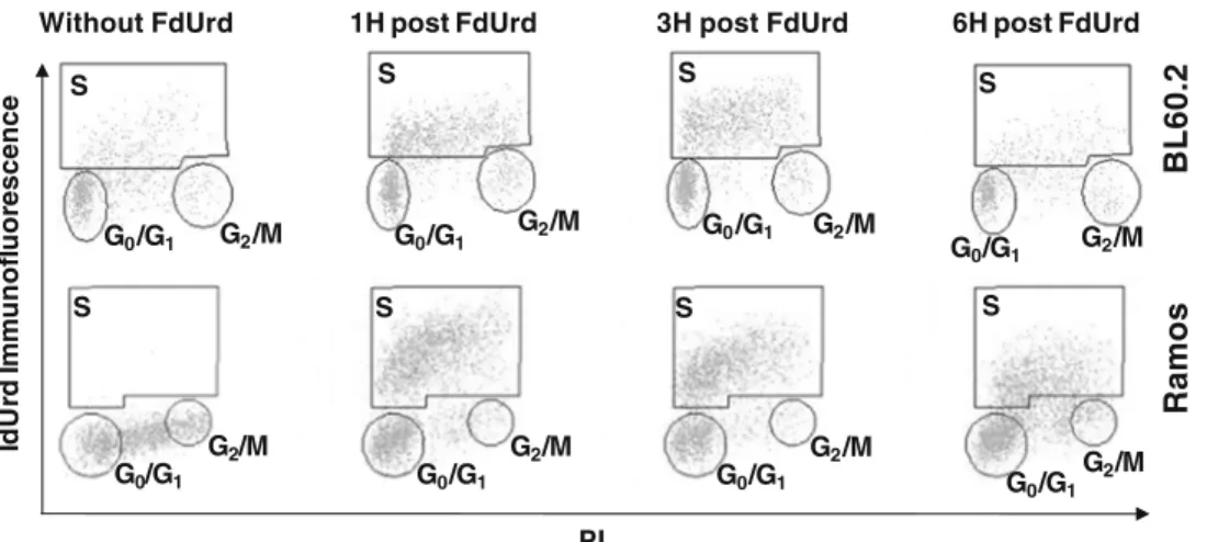 Fig. 1. Examples of flow cytometry histograms of cell distribution in the cell cycle stages (G 0 /G 1 , S, and G 2 /M)