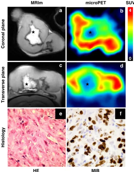 Fig. 6. MRI and PET of a MDA-MB231 tumor with a large central necrosis. T2-weighted images (a, c) obtained with MRI scanner