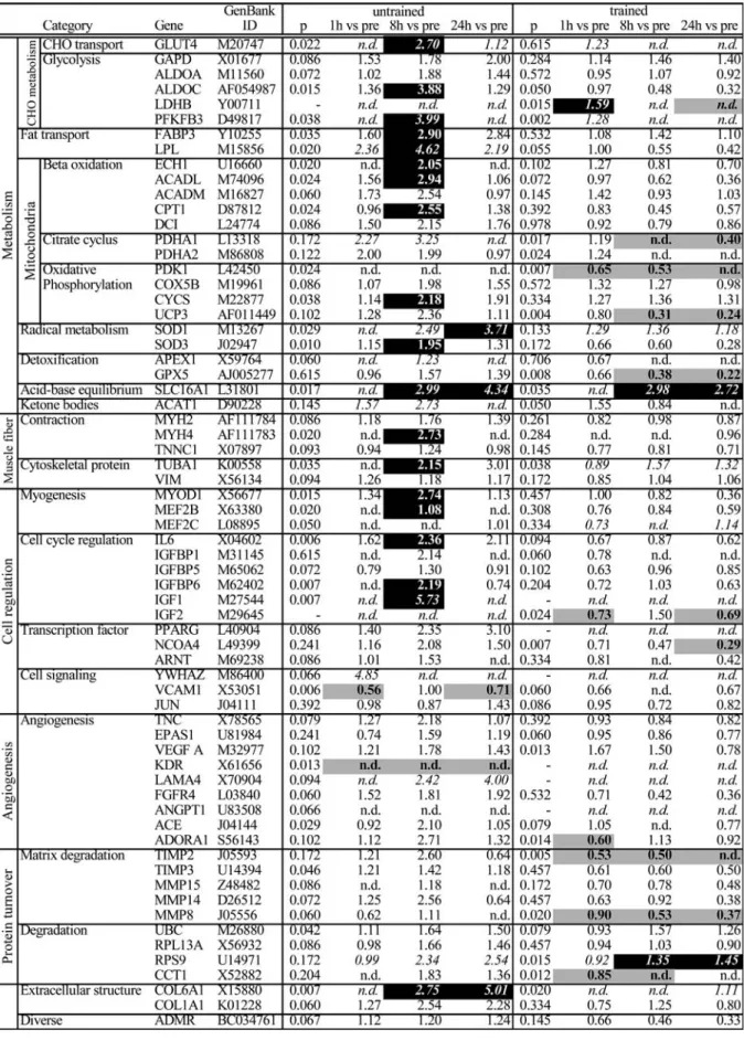 Table 2 Time course of mRNA levels. Median values of 18S standardized transcript levels relative to the pre biopsy levels after a single bout in the untrained and in the trained state