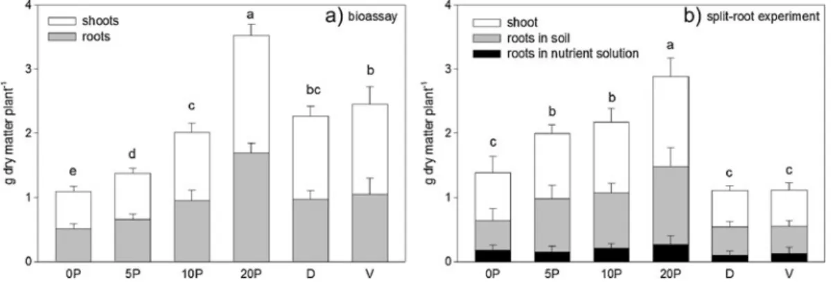Table 3 Resin-extractable and hexanol-labile P sampled 1 h, 11 and 22 days after drying and rewetting (DRW) in the plant experiments (means of 4 replicates)