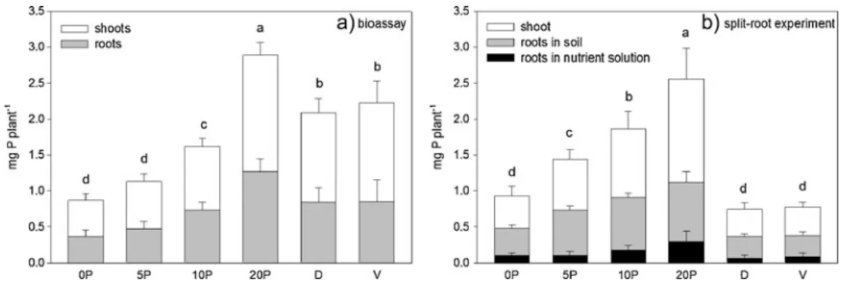 Table 4 Shoot N concentrations and shoot N uptake in the plant experiments (means of eight replicates)