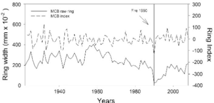 Table 1 Dendrochronological characteristics of the raw ring-width data