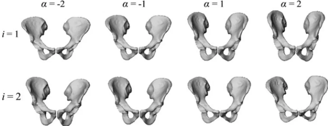 FIGURE 2. The first two eigen-modes of the variations of the PDM of the pelvis. The shape instances were generated by evalu- evalu-ating x þ a  r i  p i with a 2 f2; 1; 1; 2g.