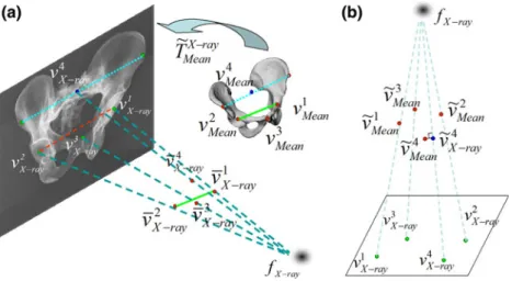 FIGURE 4. Schematic views of the iterative landmark-to-ray registration. (a) A schematic view of data preparation step; and (b) a schematic view of how to find 3D point pairs.
