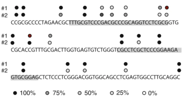 Fig. 4 Frequency of methylation of individual CpG islands. PCR products of the quantitative assay were subcloned and ten  indepen-dent clones were sequenced