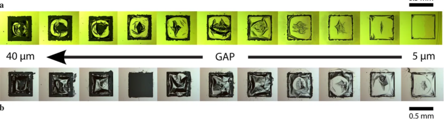 Fig. 4 Light microscopy images of the donor substrates consisting of fused silica/190 nm TP/200 nm Ag/ (a) 80 nm Alq 3 or (b) 80 nm PFO