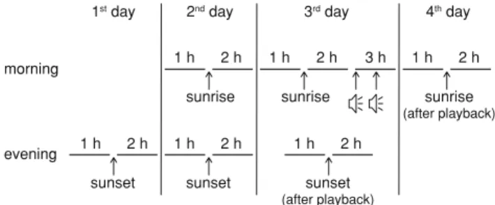 Fig. 1 The setup of the experiment in spring. Each territorial male Winter Wren (Troglodytes troglodytes) was observed during 4 consecutive days, so that dusk and dawn singing could be compared between 2 days of control before playbacks were done on the th
