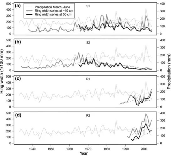 Fig. 2 Ring width of stems (bold black line) and roots (bold grey line) (left axis) plotted as time series