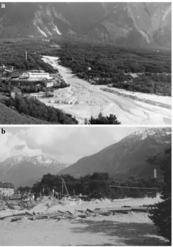 Fig. 4 a Illgraben debris fan after the largest-known debris flow (June 3, 1961) with a volume of approximately 500,000 m 3 that overflowed the banks of the Illgraben channel (Kreisforstamt IV, Canton of Valais)