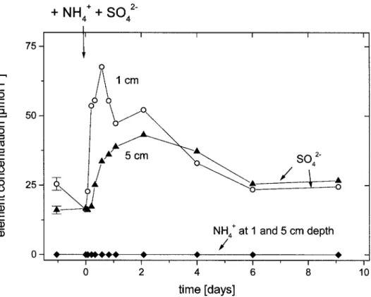 Figure 4. Ammonium and SO 2 4 − concentrations in the soil solution at 1 and 5 cm depth of one depres- depres-sion plot after applying 2.5 mmol (NH 4 ) 2 SO 4 m − 2 during a rainfall