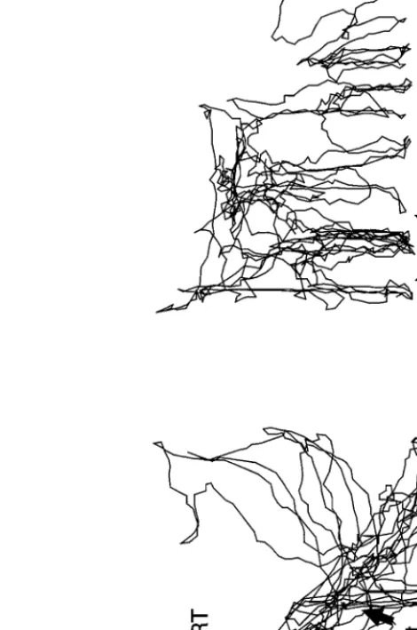 Fig. 6. Tracks of the movements of Steatoda triangulosa, lateral view. (a) During supporting structure construction
