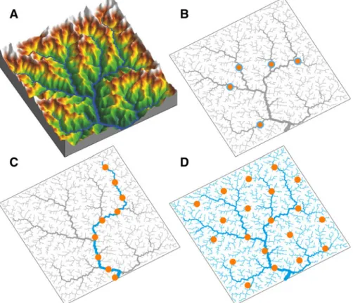 Fig. 4 a Geomorphological processes, especially erosion, are forming the characteristic interplay of mountains and valleys in natural landscapes, from which river network structure can be extracted (schematic landscape and river network redrawn after Carra