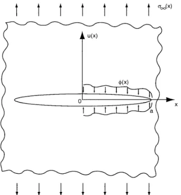 Figure 1. Crack geometry showing COD, u(x), remote stress, σ ∞ (x), bridging tractions, φ (x), and crack length, a