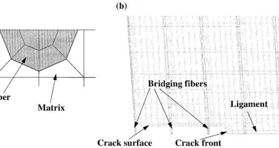 Figure 2. Typical meshes for the fiber and the specimen used to compare the experimentally measured tractions and COD profiles: (a) fibre intersection (b) specimen at the proximity of the crack.