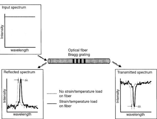 Figure 3. Principle of the optical Fiber Bragg Grating (FBG) sensor. A narrow peak of the input light is reflected by the Bragg grating, while other wavelengths are transmitted
