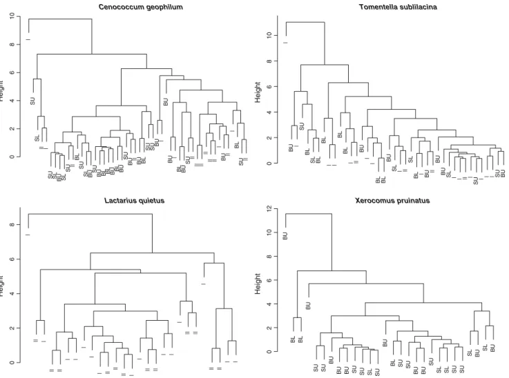 Fig. 3 Dendrogram comparing enzymatic profiles of the most characteristic species (C. geophilum and T