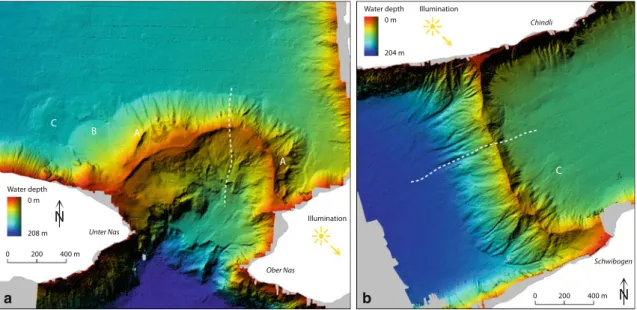 Fig. 7a). Near the western end of the moraine, a fan-shaped deposit with a smooth surface lies on its northern (external) slope (‘‘B’’ in Fig