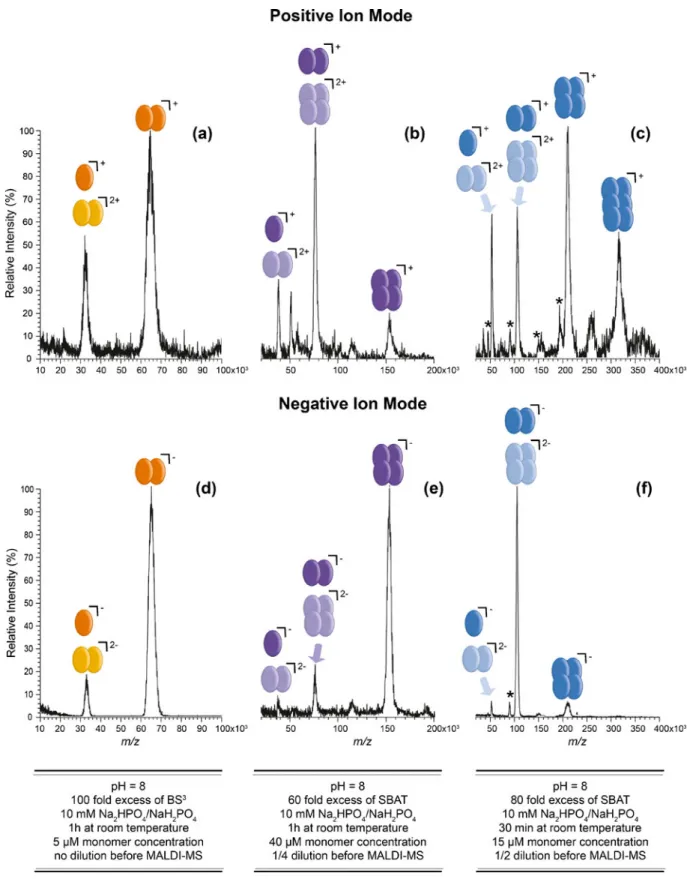 Figure 5. Comparison of MALDI mass spectra of cross-linked samples of homomeric protein complexes in positive (a), (b), (c) and negative ion mode (d), (e), (f) for GST (a), (d), GADPH (b), (e), and citrate synthase (c), (f) measured with SA as matrix
