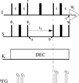 Figure 1 shows the pulse scheme of the COCAINE experiment, utilizing both Boltzmann steady-state magnetizations of I and S spins